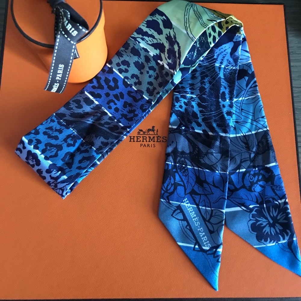 Hermès 2019 Twilly Scarf